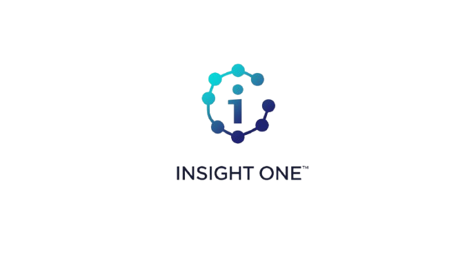Insight One Logo